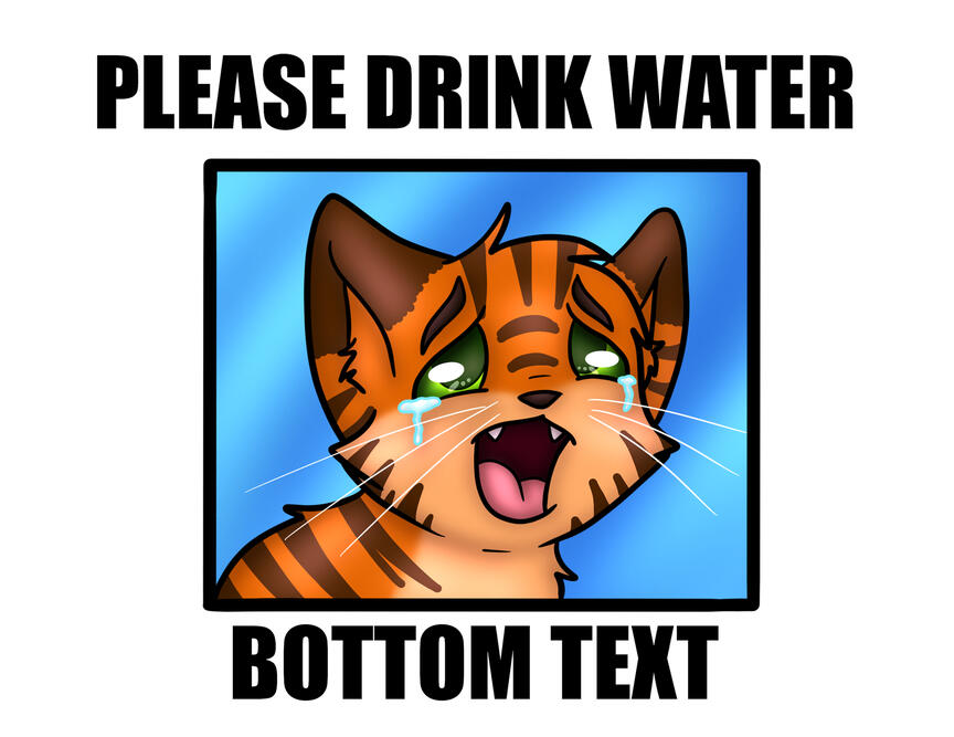 Convergence Please Drink Water Convergence Please Drink Water